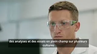 Miniature : YaraAmplix®, la gamme de produits biostimulants Yara.
