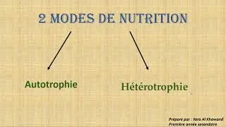 Miniature : Seconde- Végétaux- Activité 1: Autotrophie et photosynthèse