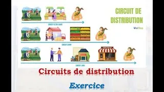 Miniature : #CircuitsDeDistribution #Marketing #DistributionCommerciale  #exercicecorrigé #CanauxDeDistribution
