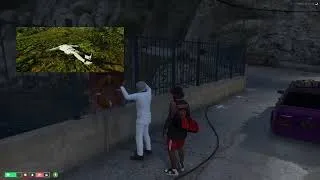 Miniature : zone safe ???