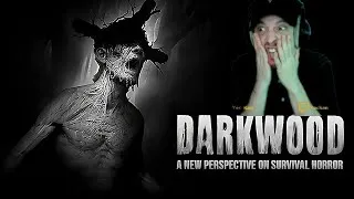 Miniature : DARKWOOD – L'horreur sans jumpscares… mais qui te ronge l'esprit