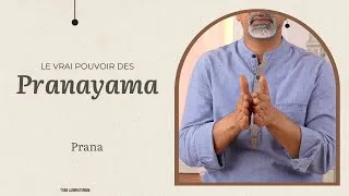 Miniature : Prana : l’énergie qui nous anime [Pranayama : Au delà du souffle]