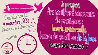 Miniature : ⁉️ Les oiseaux nous montrent les meilleurs moments pour méditer et pratiquer !