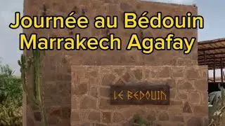 Miniature : Évasion Aquatique au Cœur du Désert : Journée Inoubliable à la Piscine Agafay le Bédouin 🇲🇦
