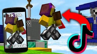 Miniature : J'ai reproduit des TikToks de PROS sur Minecraft !