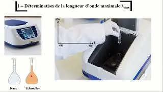 Miniature : Détermination spectrophotométrique du Fe2+ en solution : Application de la loi de Beer-Lambert