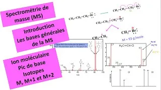 Miniature : Bases générales : Spectrométrie de masse  | شرح بالدارجة