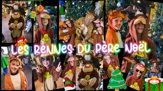 Miniature : David LION - Les rennes du Père Noël