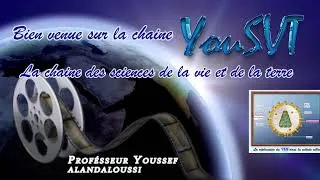 Miniature : Introduction YouSVT