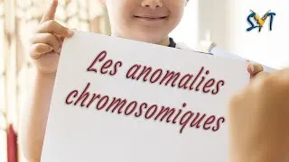 Miniature : Anomalies chromosomiques