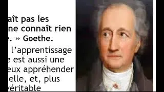 Miniature : Le plurilinguiste allemand GOETHE ET l'importance d'apprendre les diverses langues.