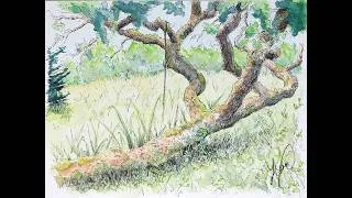 Miniature : Votre petit coin d'enfance à l'aquarelle: le vieux poirier chezLaura