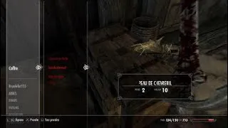Miniature : Skyrim Let's play épisode 1 l'heur de volé est pas se faire nik**