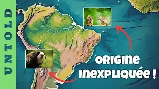 Miniature : Ces primates ne devraient pas être là !