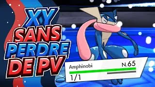 Miniature : PEUT-ON FINIR POKÉMON Y SANS PRENDRE de DÉGÂTS ?