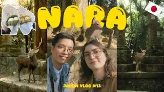 Miniature : De Osaka à Nara : une escapade inoubliable 🦌​🇯🇵