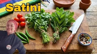 Miniature : Satini Pomme d'amour 🥰🥰