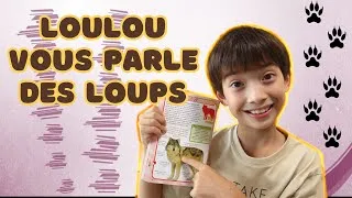 Miniature : La situation des Loups en France expliquée par Loulou!
