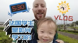 Miniature : VLOG 5h30 du Mat - Les Cours d'Histoire en France
