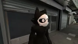 Miniature : test video