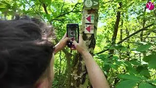 Miniature : 5 nouveaux parcours de trails sont à découvrir dans les Yvelines !