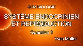Miniature : QCM Système endocrinien et reproduction #3 – Le corps jaune