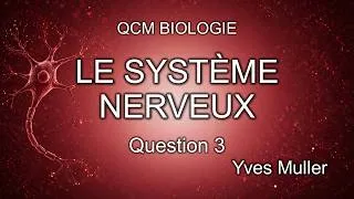 Miniature : QCM Système nerveux #3 – Potentiel d’action neuronal