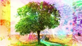 Miniature : ✨🌳🌳✨ Twin Tree 💫❤️❤️💫 #MyNewSong #Ballad 