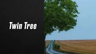 Miniature : Twin Tree 💫🌳🌳💫