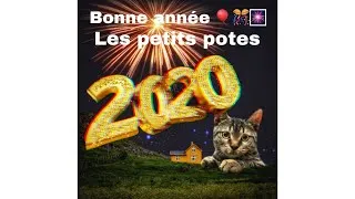 Miniature : BONNE ANNÉE 2020 !!!!!!!!!!!