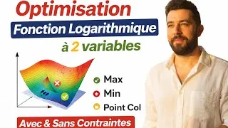 Miniature : Optimisation d’une fonction logarithmique à 2 variables | Points critiques avec et sans contraintes