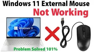 Miniature : Windows 11 external Mouse Not working 2026 [English]