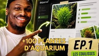 Miniature : 1 humain VS 100 plantes d'aquarium 🫣 [ Les coulisses de Rhizomae Ep.1 ]