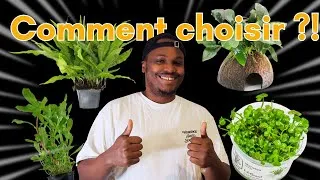 Miniature : Bien choisir ses plantes d'aquarium ?!  + liste d'astuces