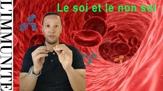 Miniature : comment le corps distingue le soi du non soi - Bac sciences