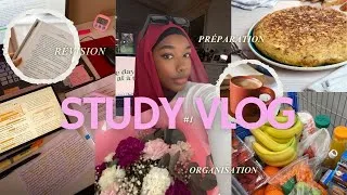 Miniature : STUDY VLOG : Objectif réussir ou criser 😩📚