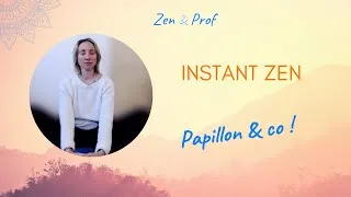 Miniature : Instant Zen: Papillon & co !