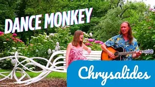 Miniature : DANCE MONKEY,  Tones and I, CHRYSALIDES cover