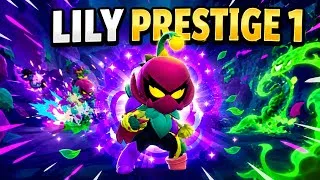 Miniature : ￼Lily prestige 1 (rapide)