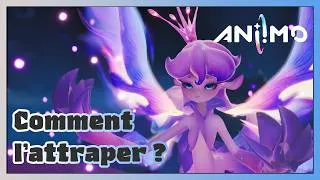 Miniature : Comment capturer Lumiris dans Aniimo ?