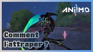Miniature : Coment capturer Igniti dans Aniimo ?