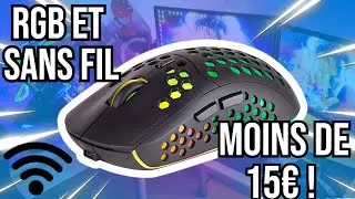 Miniature : CETTE SOURIS EST INCROYABLE ET PAS CHER