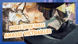 Miniature : Lithique : faire d’une pierre deux coups l En science inverse I ZdS