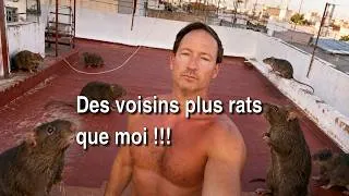 Miniature : Mes voisins sont plus rats que moi à Paiporta (Valence, Espagne) ! Je vous explique