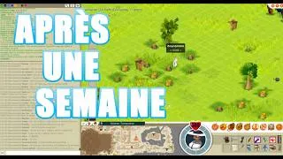 Miniature : Bilan et objectifs futurs après une semaine sur dofus retro saisonnier  - Nouvelle aventure de zéro