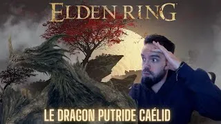 Miniature : ELDEN RING DRAGON PUTRIDE CAELID LET'S PLAY FR