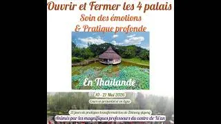 Miniature : Le beau soin de la professeure Ye pour la nouvelle retraite en ligne
