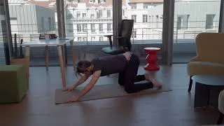 Miniature : flexion - extension dynamique