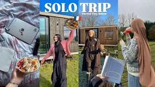 Miniature : SOLO TRIP #3 Parcel Tiny House 🇫🇷