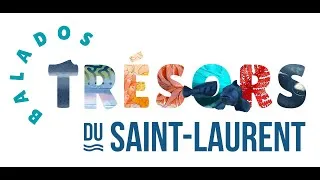 Miniature : Tuques aux nageoires et mitaines aux pinces: L’aire marine protégée du Banc-des-Américains l’hiver